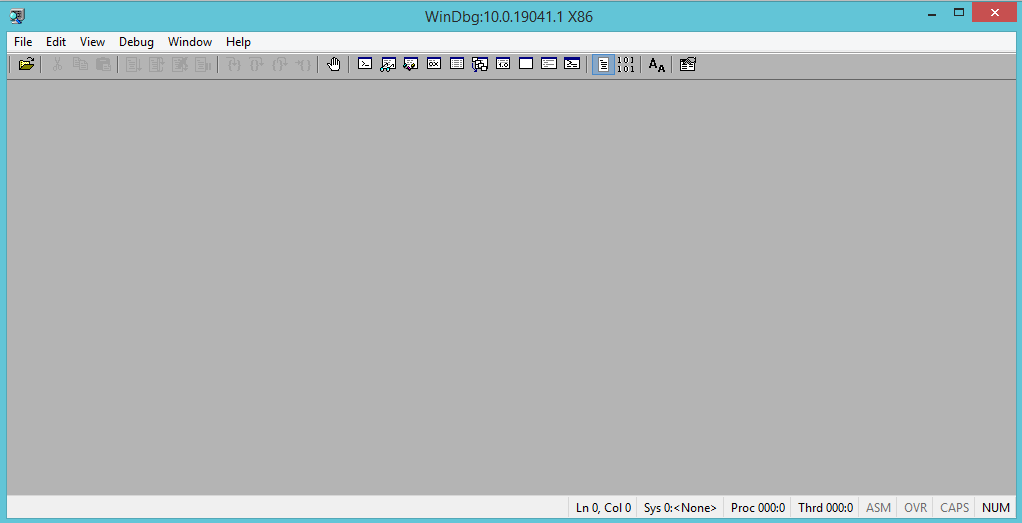 WinDBG Main Window