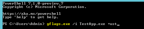How to use gflags.exe