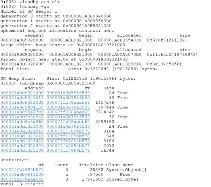 Inspect large objects heap